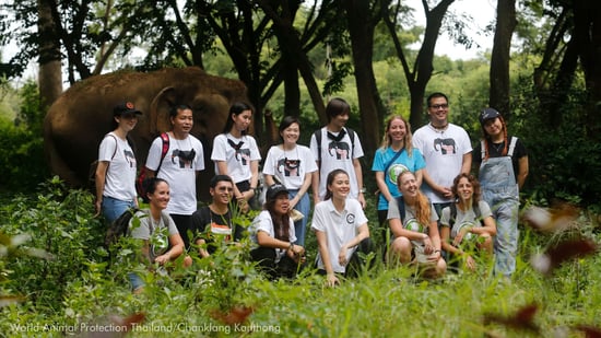 Volunteer_Somboon